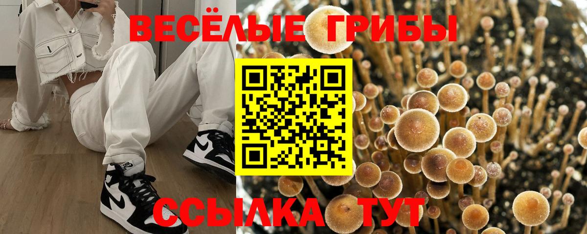 Лобня  Галлюциногенные грибы мицелий  купить наркотик  Вход с VPN 