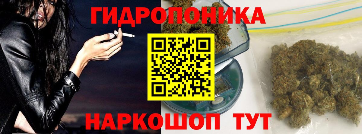 Каннабис марихуана  Шишки марихуана планчик  МАРИХУАНА планчик  Лобня  Бошки марихуана Amnesia  Вход с VPN 